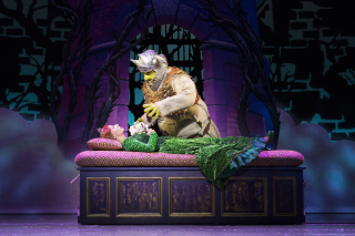 S2015 Original UK Tour Company. Dean Chisnall (Shrek) and Bront├® Barb├® (Princess Fiona). Credit Helen Maybanks 4.jpg